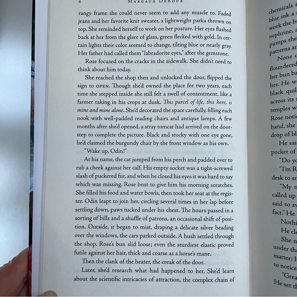 BOOK, Lost Diary of Venice, Margaux DeRoux NWT - Picture 7 of 14